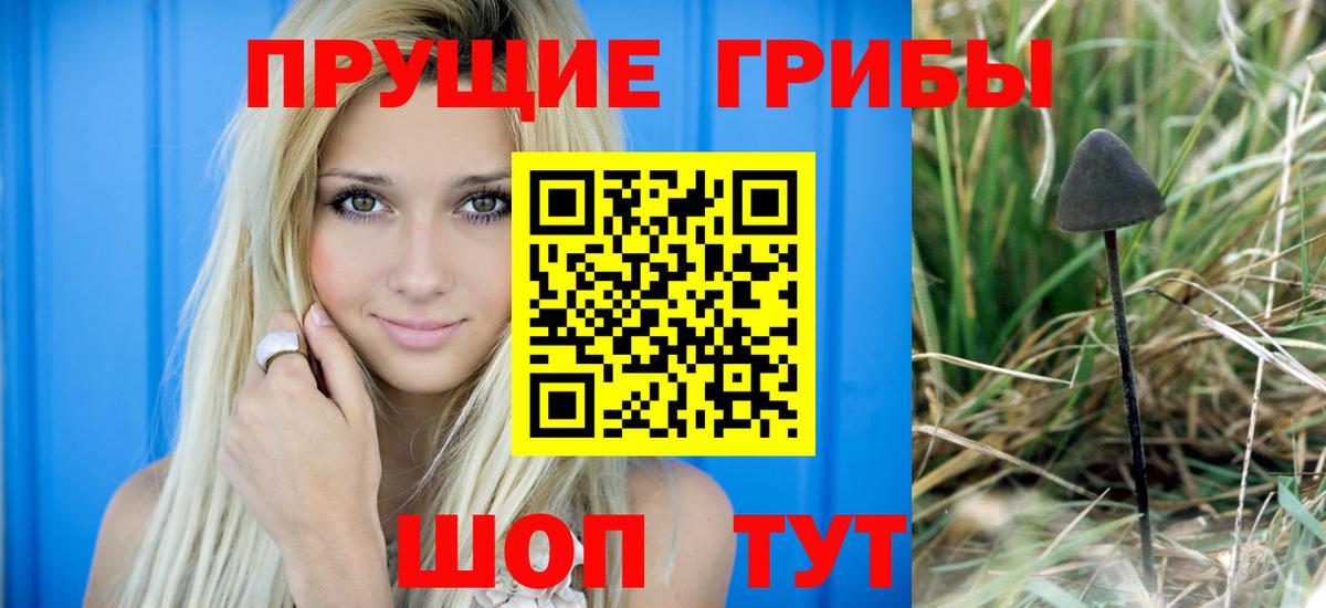 Галлюциногенные грибы ЛСД  Галлюциногенные грибы GOLDEN TEACHER  Валуйки  Вход с VPN 